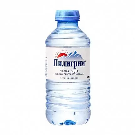 Вода Пилигрим негаз ПЭТ 0,25 л купить с доставкой в Москве и Области